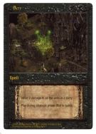 Rot